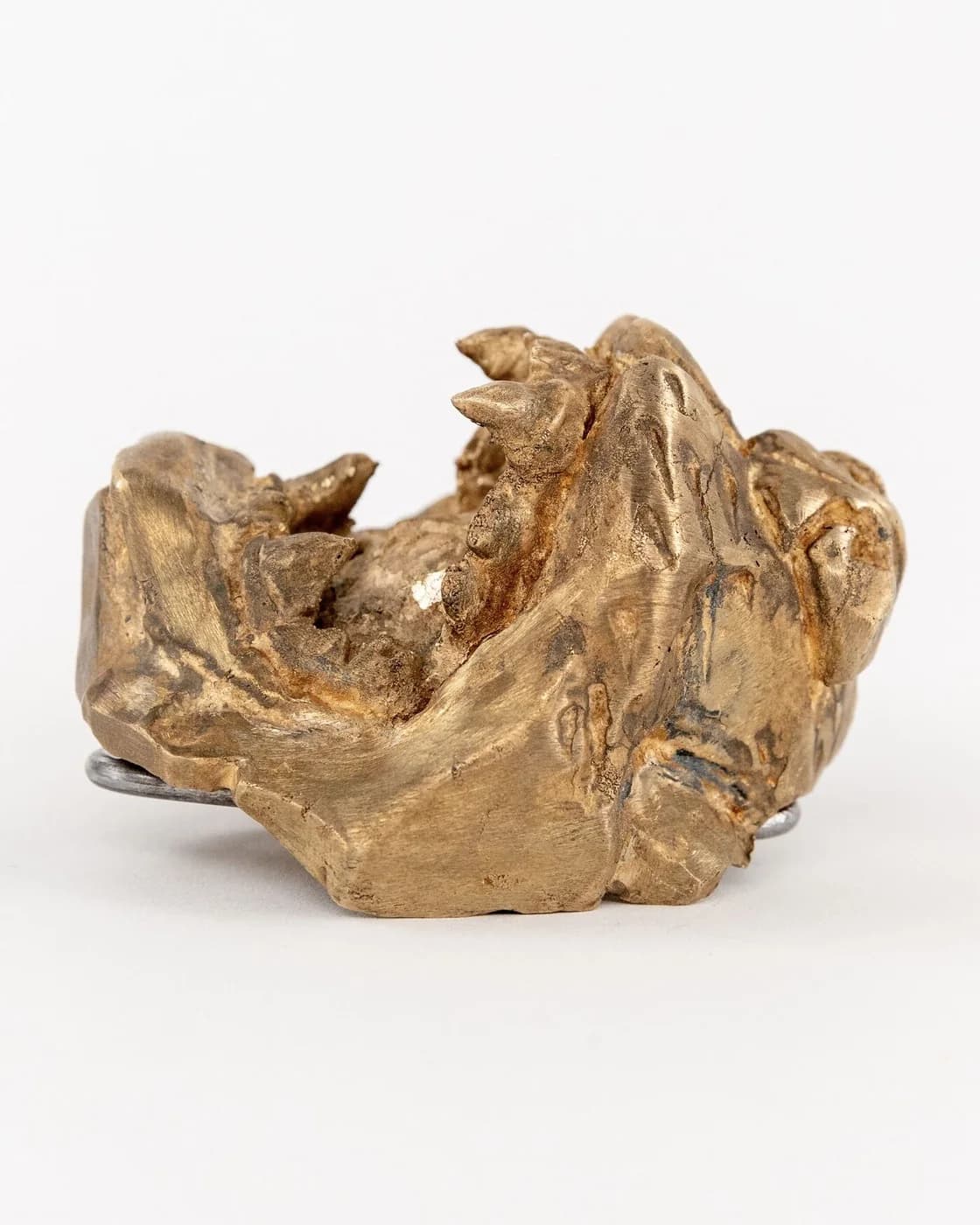 The buckle on its own: a crushed can cast and gilded